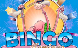 Flamingo Bingo