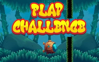 Flap Challenge