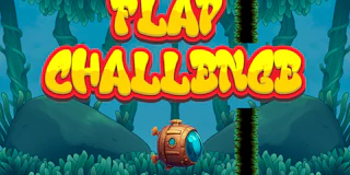 Flap Challenge thumbnail