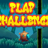Flap Challenge