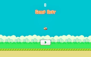 Flappy Bird 2D Game