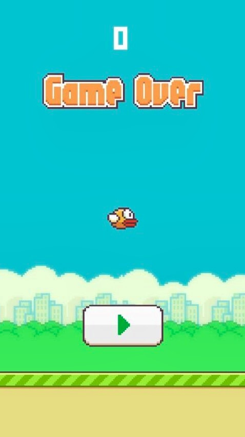 Flappy Bird 2D Game