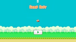 Flappy Bird 2D Game