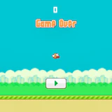 Flappy Bird 2D Game