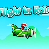 Flight in Rain