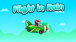 Image for Flight in Rain