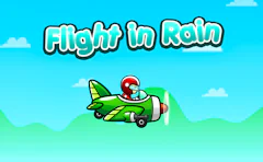 Flight in Rain