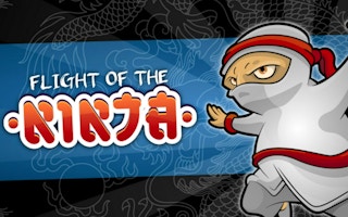 Flight Of The Ninja game cover