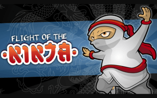 Flight Of The Ninja game cover