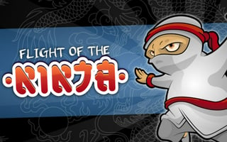 Flight Of The Ninja game cover