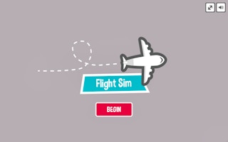 Flight Sim Pro game cover