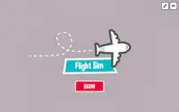 Flight Sim Pro