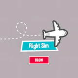 Flight Sim Pro