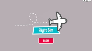 Image for Flight Sim Pro