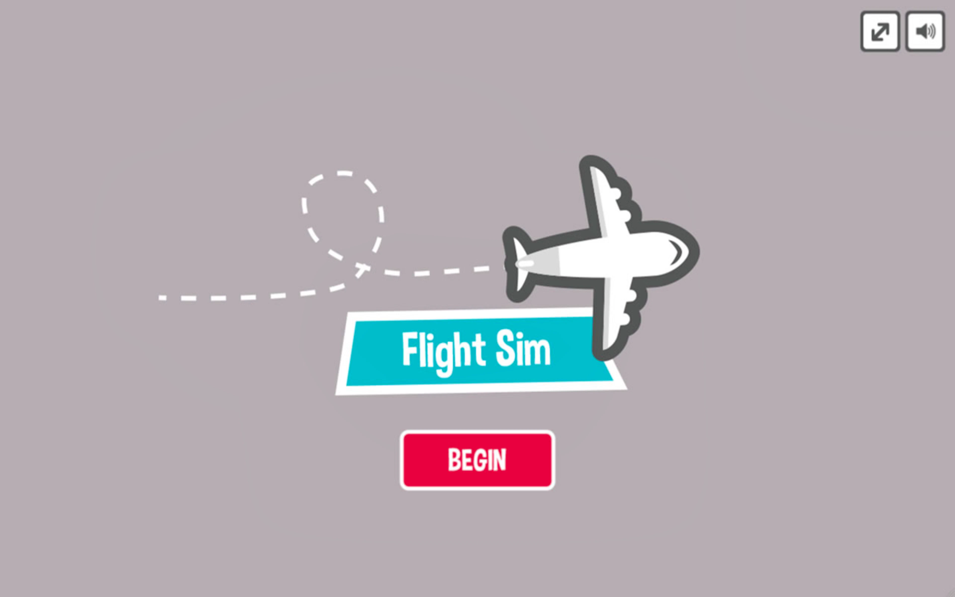 Flight Sim Pro