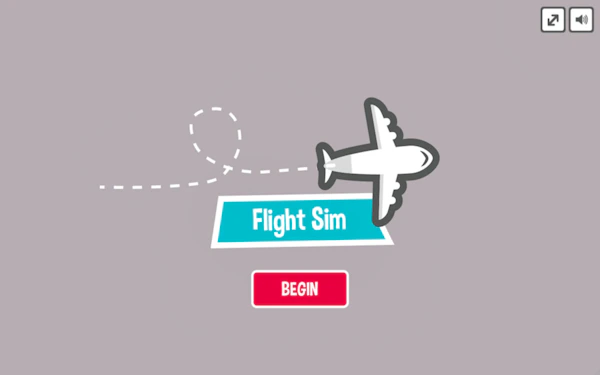 Flight Sim Pro