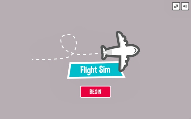 Flight Sim Pro