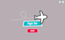 Flight Sim Pro