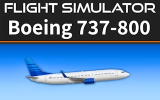 Flight Simulator 737-800 game cover