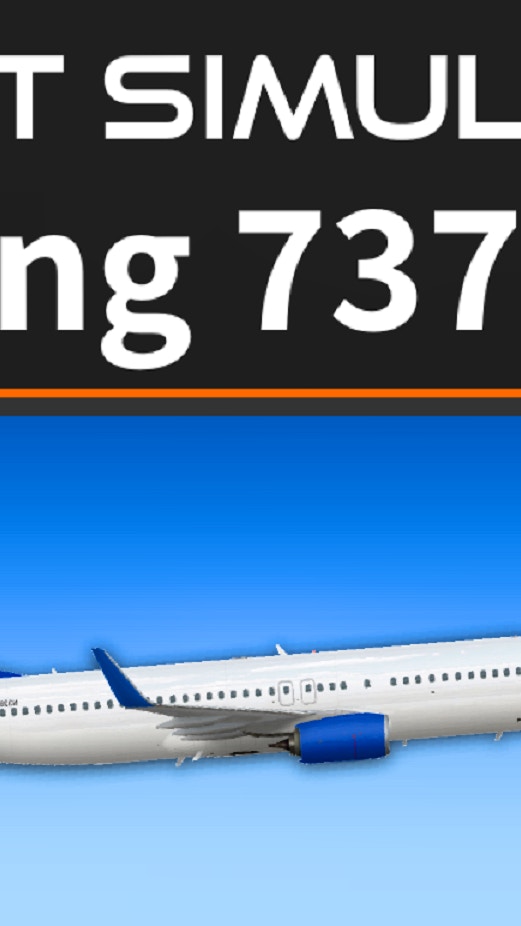 Flight Simulator 737-800