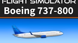 Flight Simulator 737-800