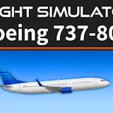 Flight Simulator 737-800