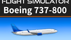 Image for Flight Simulator 737-800