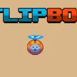 Flip Bot