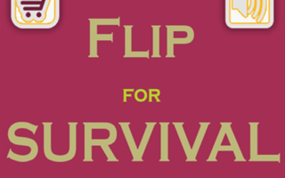 Flip For Survival game cover