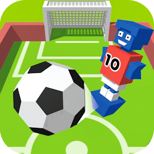 Flip Goal