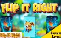 Flip It Right