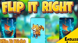 Flip It Right