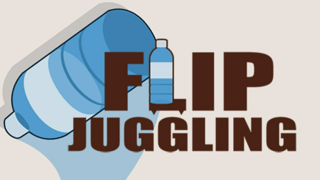 Flip Juggling