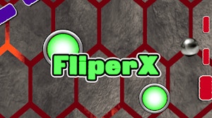 Image for FliperX