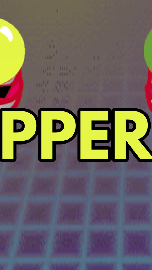 Flippers One