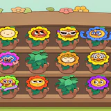Flower Collection