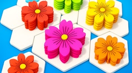 Flower Hexa Puzzle