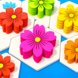 Flower Hexa Puzzle