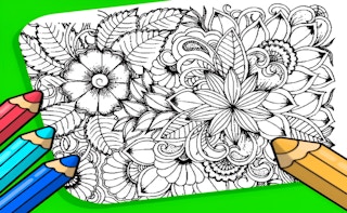 Flowers Coloring Game for Adults