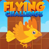 Flying Challenge