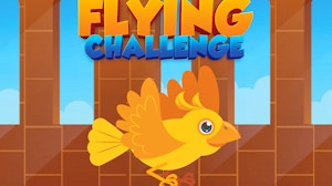 Image for Flying Challenge