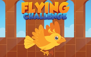 Flying Challenge game cover