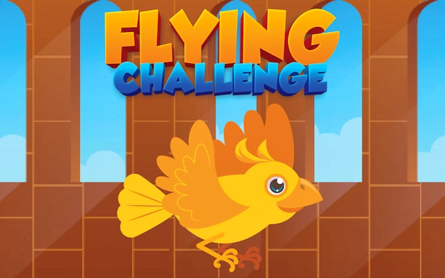 Flying Challenge