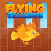 Flying Challenge banner