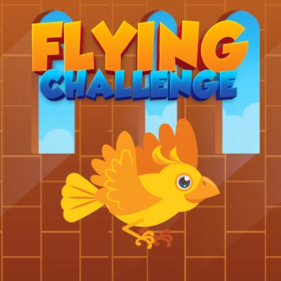 Flying Challenge By Gamepix