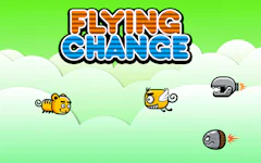 Flying Change