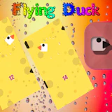 Flying Duck