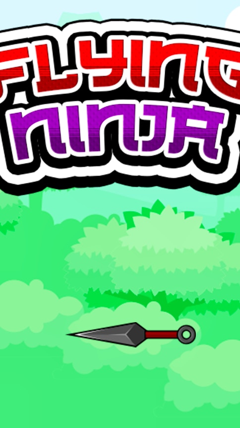 Flying Ninja