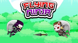 Flying Ninja