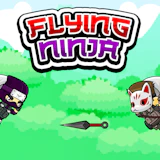 Flying Ninja